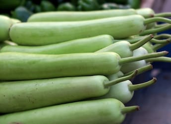 6 Desi Ways To Add Lauki (Bottle Gourd) To Your Summer Diet 6 Desi Ways To Add Lauki (Bottle Gourd) To Your Summer Diet