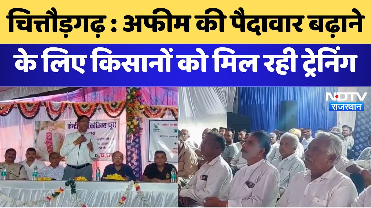 Chittorgarh News: अफीम की पैदावार बढ़ाने के लिए किसानों को मिल रही ट्रेनिंग | Latest News
