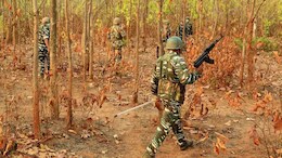बीजापुर के जंगल में गोलियों की तड़तड़ाहट, मुठभेड़ में दो नक्सली ढेर