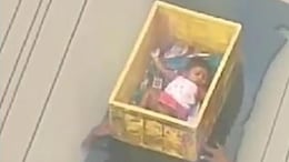 Video:  Baby In Plastic Crate Carried By Men In Neck-Deep Andhra Flood Waters