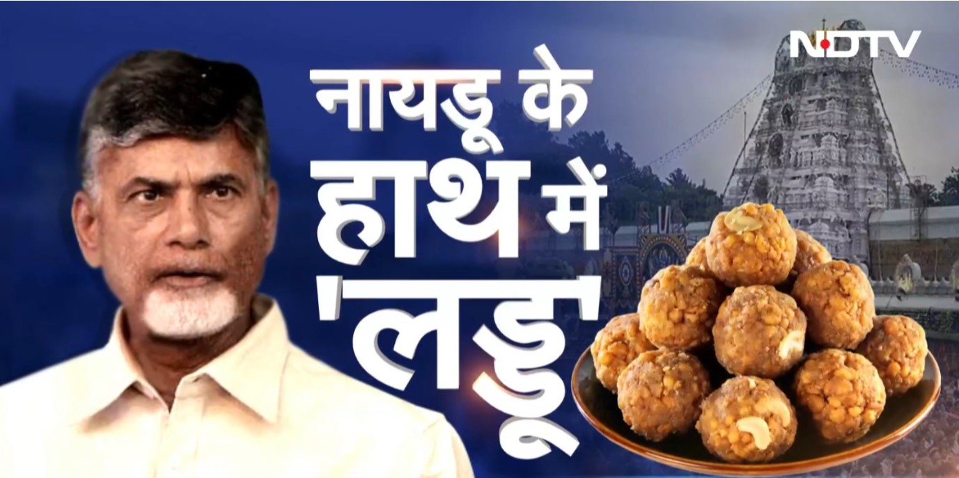 आस्था से ये कैसा खिलवाड़! तिरुपति के लड्डू में सूअर-बीफ की चर्बी, मछली का तेल! अब तक के टॉप अपडेट   