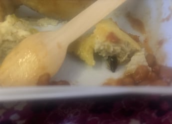 Passenger Finds Cockroach In Meal On Air India Flight From Delhi To New York, Airline Apologises Passenger Finds Cockroach In Meal On Air India Flight From Delhi To New York, Airline Apologises