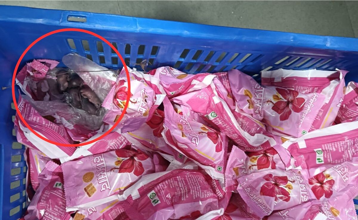 Siddhivinayak Temple Siddhivinayak Temple