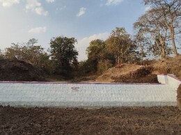 "मेरे लिए वरदान सरीखा..." : अदाणी फाउंडेशन ने बदल डाली महाराष्ट्र के 18 किसानों की ज़िन्दगी