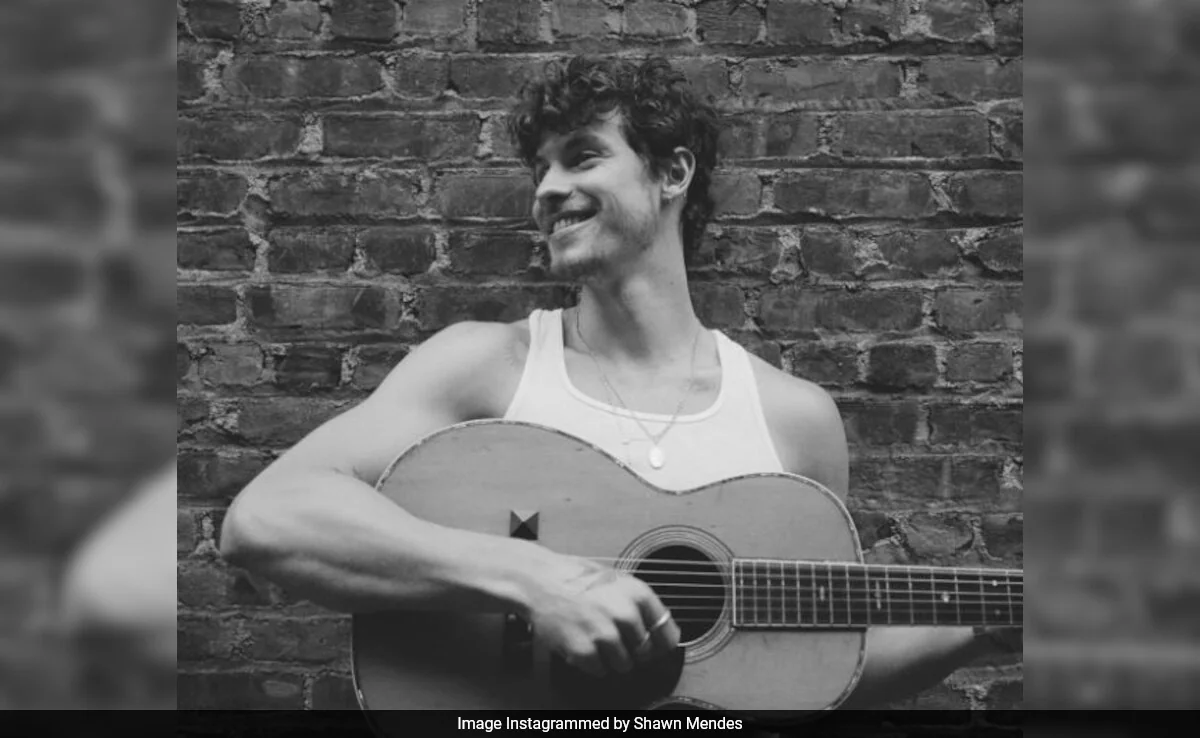 Lollapalooza India 2025 Line-Up: Green Day, Shawn Mendes And More