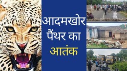 Udaipur Panther: उदयपुर में 'आदमखोर' पैंथर का आतंक, एक दिन में दो की मौत; लोगों ने सड़कों को किया जाम