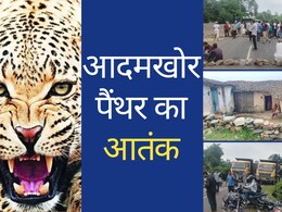 Udaipur Panther: उदयपुर में 'आदमखोर' पैंथर का आतंक, एक दिन में दो की मौत; लोगों ने सड़कों को किया जाम Udaipur Panther: उदयपुर में 'आदमखोर' पैंथर का आतंक, एक दिन में दो की मौत; लोगों ने सड़कों को किया जाम