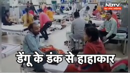 MP में डेंगू के डंक के बाद हरकत में आई सरकार, इतने हजार से ज्यादा मामले आ चुके हैं सामने