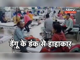 MP में डेंगू के डंक के बाद हरकत में आई सरकार, इतने हजार से ज्यादा मामले आ चुके हैं सामने MP में डेंगू के डंक के बाद हरकत में आई सरकार, इतने हजार से ज्यादा मामले आ चुके हैं सामने