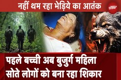 Bahraich Bhediya Attack: बहराइच में भेड़िये ने फिर किया हमला, सोती हुई बुजुर्ग महिला को बनाया शिकार Bahraich Bhediya Attack: बहराइच में भेड़िये ने फिर किया हमला, सोती हुई बुजुर्ग महिला को बनाया शिकार