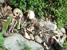 बीसलपुर के जंगलों में मिले युवक-युवती के कंकाल का DNA टेस्ट से खुलेगा राज, अजमेर भेजे गए सैंपल