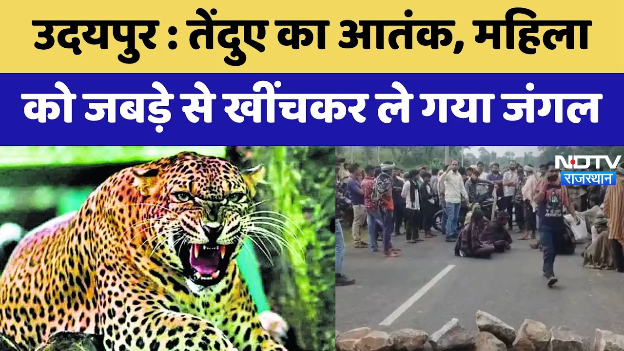 Udaipur Panther Terror: तेंदुआ का आतंक, महिला को जबड़े से खींचकर ले गया जंगल | Breaking News