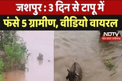Jashpur News: 3 दिन से टापू में फंसे 5 ग्रामीण, रेस्क्यू ऑपरेशन में हो रही परेशानी Jashpur News: 3 दिन से टापू में फंसे 5 ग्रामीण, रेस्क्यू ऑपरेशन में हो रही परेशानी