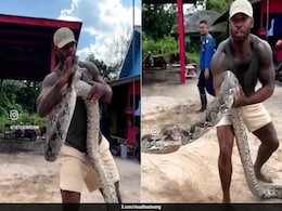 Viral Video: Man Grabs Snake Lunging Towards His Face, Narrowly Escapes Bite Viral Video: Man Grabs Snake Lunging Towards His Face, Narrowly Escapes Bite