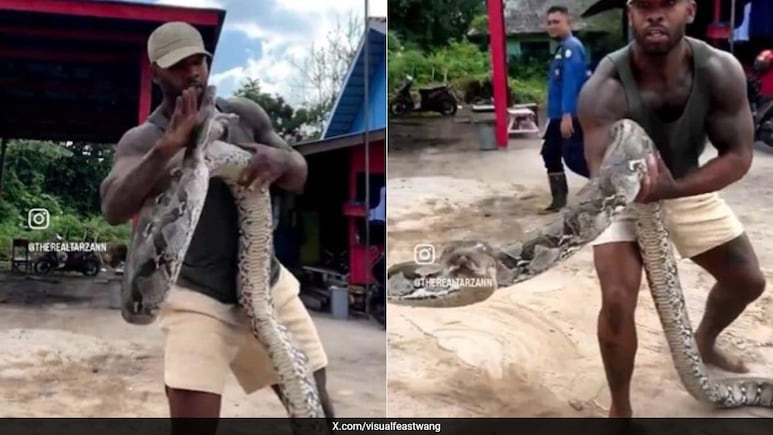 सांप बार-बार शख्स के मुंह पर मार रहा था झपट्टा, शख्स ने नंगे हाथों से पकड़ा सांप का सिर, आगे जो हुआ, आप डर जाएंगे