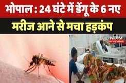 Bhopal Dengue News : 24 घंटे में डेंगू के 6 नए मरीज आने से मचा हड़कंप Bhopal Dengue News : 24 घंटे में डेंगू के 6 नए मरीज आने से मचा हड़कंप