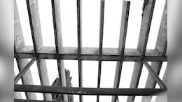 Dutch Couple On Trial Over Locking Foster Daughter, 10, In Electrified Cage