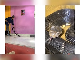 बेडरूम में रखे बॉक्स में छिपा था 9 फुट लंबा किंग कोबरा, पकड़ने चला शख्स तो आगे जो हुआ, Video देख खड़े हो जाएंगे रोंगटे बेडरूम में रखे बॉक्स में छिपा था 9 फुट लंबा किंग कोबरा, पकड़ने चला शख्स तो आगे जो हुआ, Video देख खड़े हो जाएंगे रोंगटे
