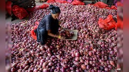 कांद्याचे MEP रद्द, दुसऱ्याच दिवशी भाव वाढले, लासलगाव APMC मधील आजचे दर?