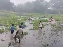 VIDEO: बेगूसराय की बैंती नदी में स्कूली बच्चों से भरी नाव पलटी, पानी में कूदकर ग्रामीणों ने बचायी जान VIDEO: बेगूसराय की बैंती नदी में स्कूली बच्चों से भरी नाव पलटी, पानी में कूदकर ग्रामीणों ने बचायी जान