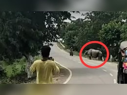 55 किलोमीटर प्रति घंटे की रफ्तार से दौड़ते गैंडे ने बाइक सवार को दौड़ाया और फिर... दिल दहला देगा वीडियो 55 किलोमीटर प्रति घंटे की रफ्तार से दौड़ते गैंडे ने बाइक सवार को दौड़ाया और फिर... दिल दहला देगा वीडियो