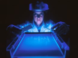 After Covid, How Are Scientists Prepping For Potential Pandemic "Disease X" After Covid, How Are Scientists Prepping For Potential Pandemic "Disease X"