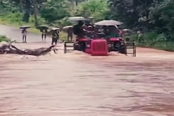 Deaths, Destruction After Heavy Rain In Andhra, Telangana Deaths, Destruction After Heavy Rain In Andhra, Telangana
