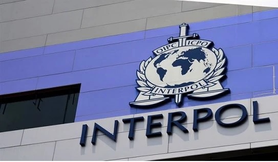 इंटरपोल का भारत समेत 72 देशों में बड़ा एक्शन, 45 हजार से ज्यादा खतरनाक IP एड्रेस क्लोज, 94 गिरफ्तार
