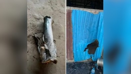 Rockets Fired At Manipur's Valley District, 2 Buildings Damaged: Police