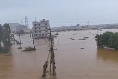 27 Dead In Andhra, Telangana Rain Fury: Houses Submerged, Crops Damaged 27 Dead In Andhra, Telangana Rain Fury: Houses Submerged, Crops Damaged