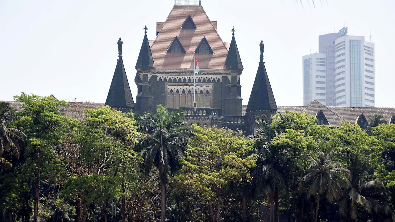 "Killing Mosquito With Sword": Bombay Court Slams Food Body Over Action On Amazon