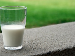 इतने हजार रुपये लीटर है बिकता इस जानवर का दूध, इन बीमारियों के लिए है औषधि के समान इतने हजार रुपये लीटर है बिकता इस जानवर का दूध, इन बीमारियों के लिए है औषधि के समान