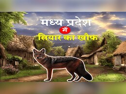 VIDEO : UP के बाद अब MP में सियार का आतंक, देखें सीहोर में कैसे शख्स ने आदमखोर को उठाकर पटका