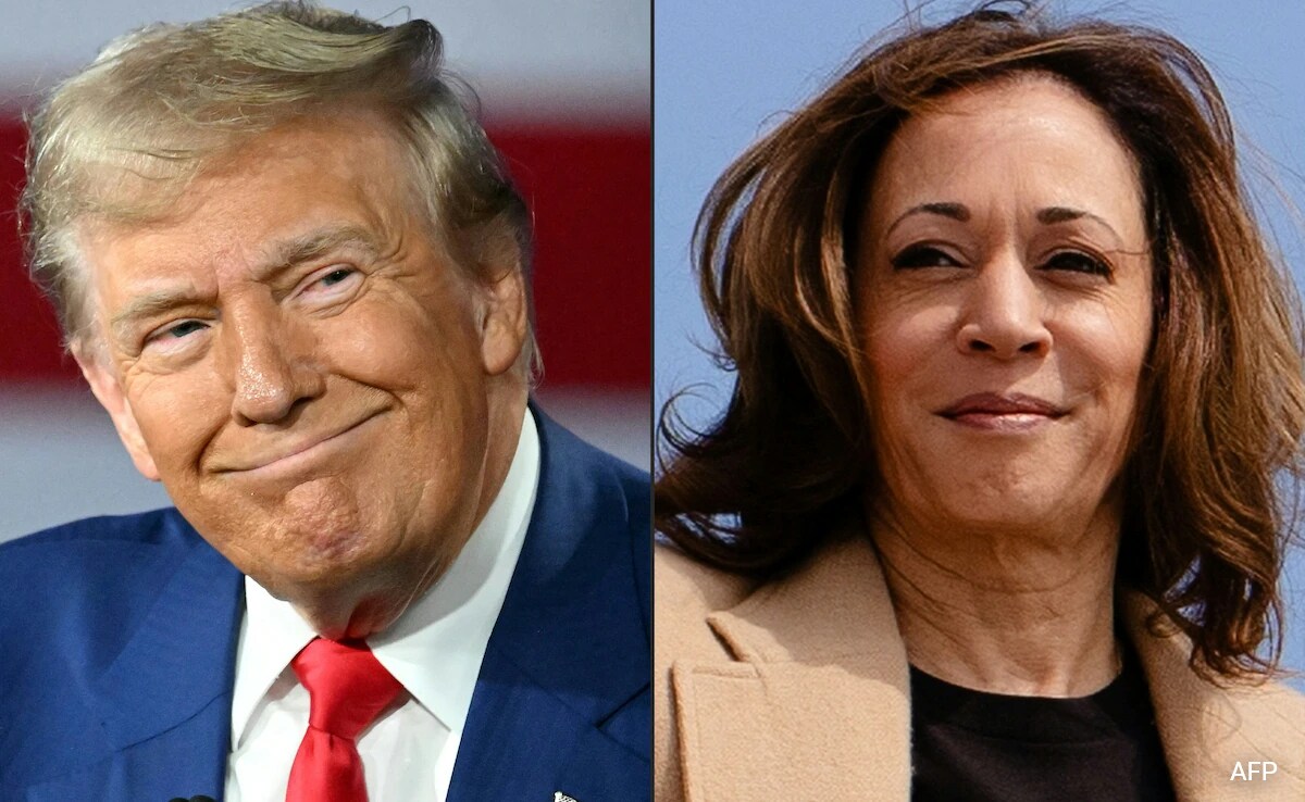 US Elections 2024 Explained The Rules Of Donald Trump Vs Kamala 