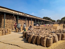 Why India's Easing Of Export Curbs Is Important To Global Rice Trade Why India's Easing Of Export Curbs Is Important To Global Rice Trade