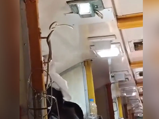 Snake In A Train Going To Mumbai, Passengers Run From Their Seats