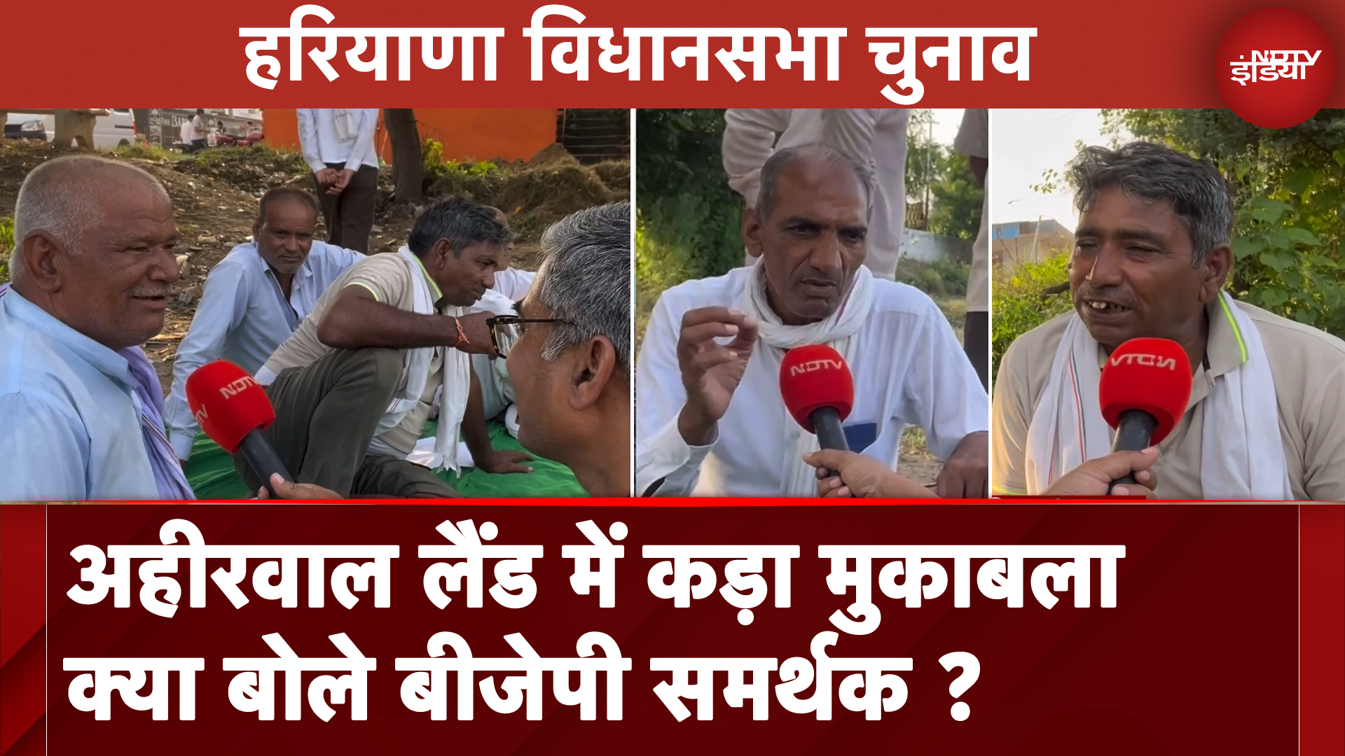 Haryana Assembly Election: दक्षिण हरियाणा की अहीरवाल लैंड में दिलचस्प हुआ मुकाबला, जानें जनता की राय