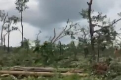 Tornado Uproots Hundreds Of Trees In A Forest In Telangana's Mulugu Tornado Uproots Hundreds Of Trees In A Forest In Telangana's Mulugu