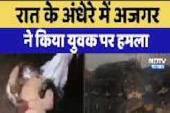 Dungarpur News: रात के अंधेरे में Python ने किया युवक पर हमला, खतरे में पड़ी जान Dungarpur News: रात के अंधेरे में Python ने किया युवक पर हमला, खतरे में पड़ी जान