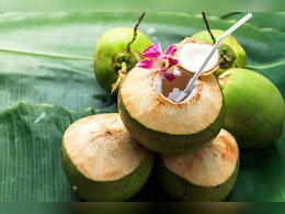 2 सितंबर को ही क्यों मनाया जाता है विश्व नारियल दिवस? जानें इसके फायदे और इतिहास