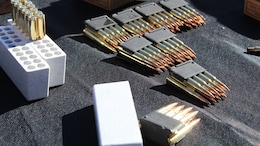 500 Sniper Rifle Bullets Seized During Routine Traffic Check In Delhi: Cops