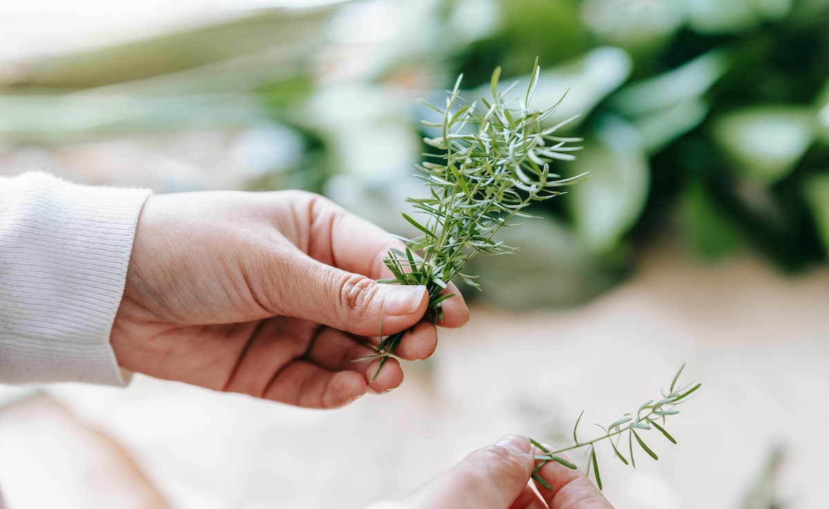 Rosemary For Hair Fall: How Effective Is It? 4 Ways To Use