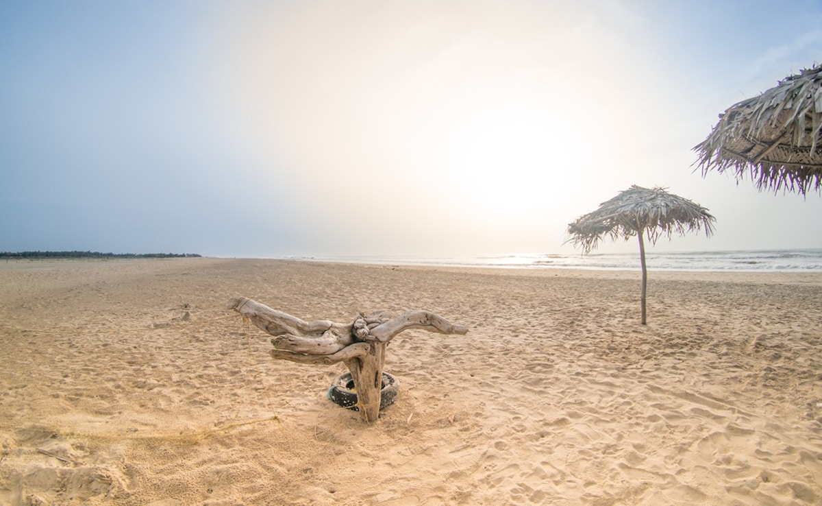 Latest and Breaking News on NDTV Latest and Breaking News on NDTV