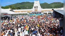 To Tackle 'Direspectful' Reels, Tirupati Board Bans Filming Inside Temple