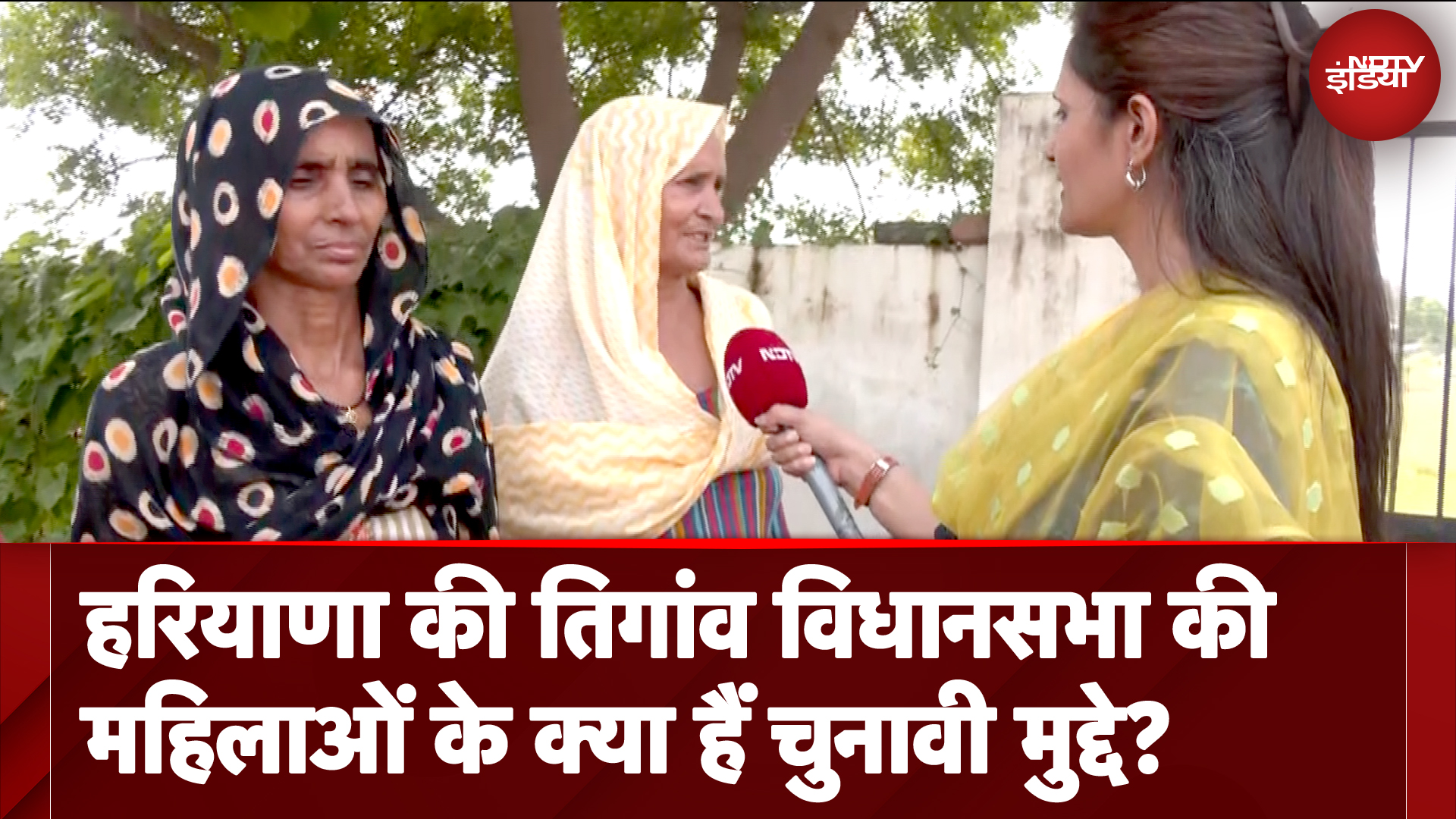 Assembly Election 2024: Haryana की Tigaon Assembly Constituency की महिलाओं के क्या हैं चुनावी मुद्दे?