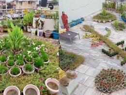 गलियारा, बालकनी और बरामदे में लगा दिए 5 हजार पौधे, अनूठे जज़्बे से घर को बना दिया 'हाउस ट्री '   गलियारा, बालकनी और बरामदे में लगा दिए 5 हजार पौधे, अनूठे जज़्बे से घर को बना दिया 'हाउस ट्री '