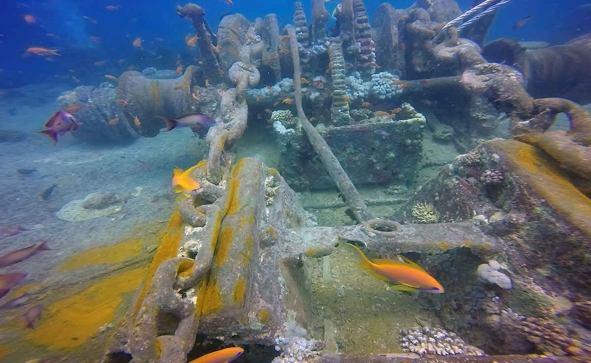 SS Thistlegorm Wreck, Egyptian Red Sea SS Thistlegorm Wreck, Egyptian Red Sea