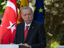 "World Is Bigger Than 5": After India, Turkey Calls For UN Security Council Reforms