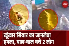 MP Jackal Attack Viral Video: Sehore में Camera में कैद खूंखार सियार की दहशत, 2 लोगों की बची जान | MP Jackal Attack Viral Video: Sehore में Camera में कैद खूंखार सियार की दहशत, 2 लोगों की बची जान |