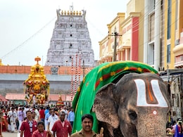 Behind Making Of Tirupati Laddoos: How Ingredients Are Procured Behind Making Of Tirupati Laddoos: How Ingredients Are Procured